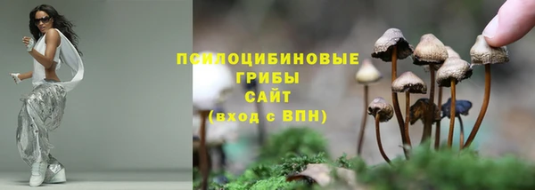 кокс Беломорск
