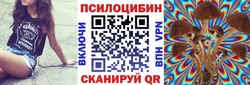 купить закладку  Будённовск  Псилоцибиновые грибы прущие грибы 